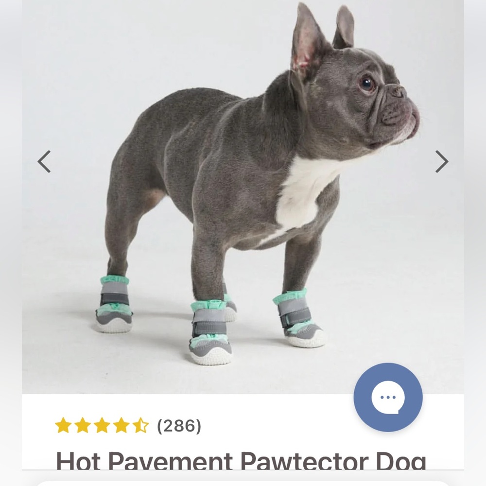Stylish Gray and Green Dog Paw Protectors